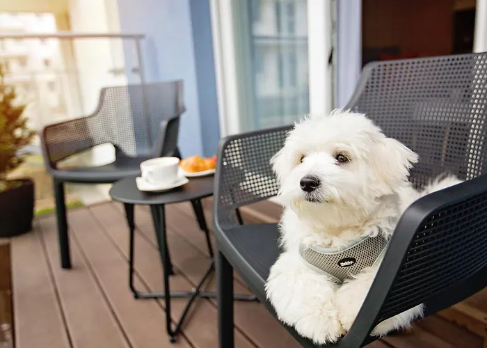 Baltic Sea Maczka 13 Apartment *